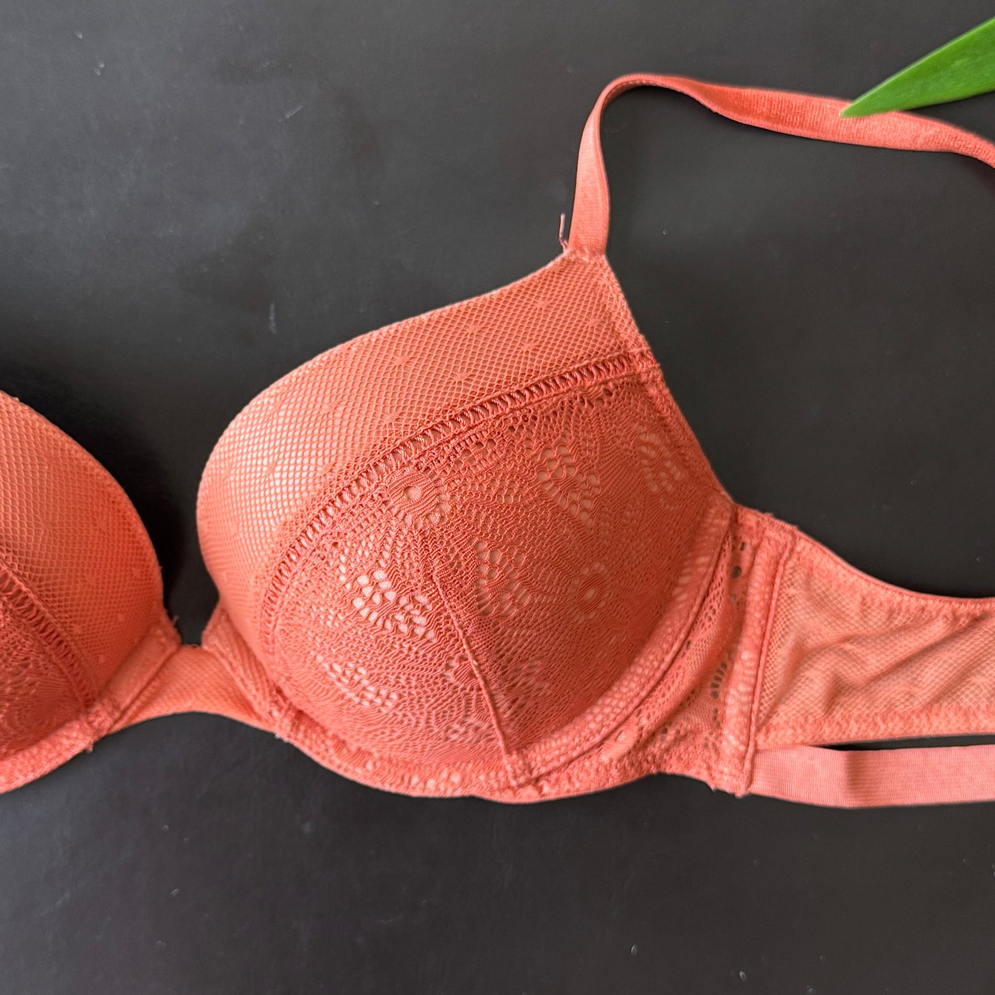 Burnt Orange Push Up Bra