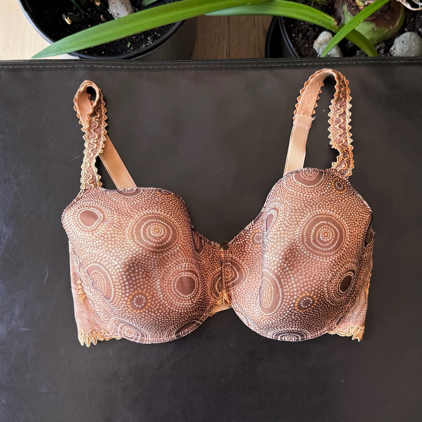 Brown Polka Dots Bra